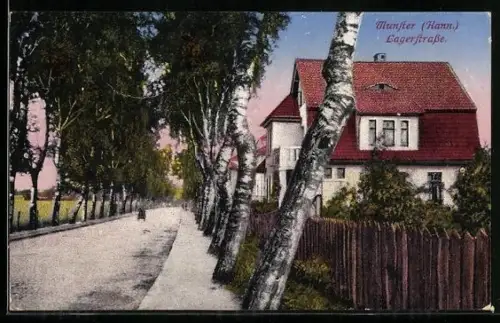 AK Munster /Hann., Lagerstrasse, Wohnhäuser und Allee
