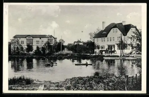 AK Munster /Lüneburger Heide, Mühlenteich