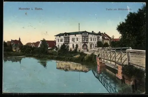 AK Munster i. Hann., Partie am Mühlenteich