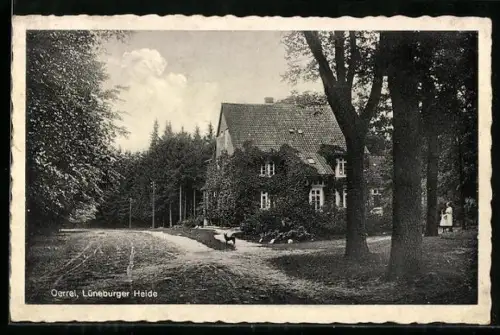 AK Oerrel /Lüneburger Heide, Haus im Grünen, Waldweg