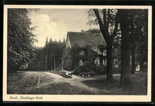 AK Oerrel /Lüneburger Heide, Haus im Grünen