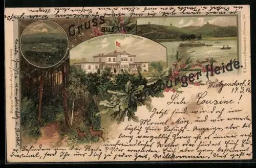 Lithographie Dorfmark, Erholungshaus Achterberg, Blick vom Falkenberg, Rehe im Wald, See