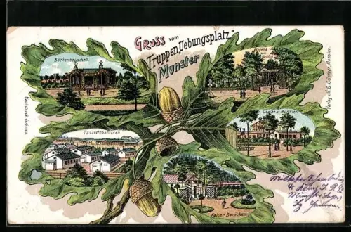 Lithographie Munster, Truppen-Übungsplatz, Lazarettbaracken, Kaiser-Baracken, Eichenblatt-Passepartout