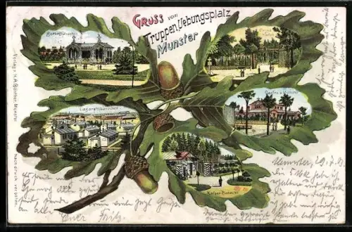 Lithographie Munster, Truppenübungsplatz, Borkenhäuschen, Casino, Lazarethbaracken, Eichenblatt