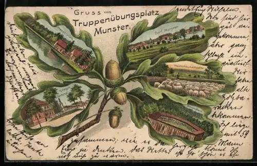 Lithographie Munster, Truppenübungsplatz, Wassermühle, Bienenstand, Eichenblatt-Passepartout