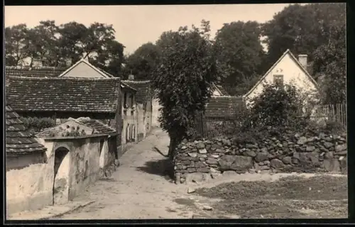 Foto-AK Petersberg /Halle, Grüne Gasse mit älteren Wohnhäusern