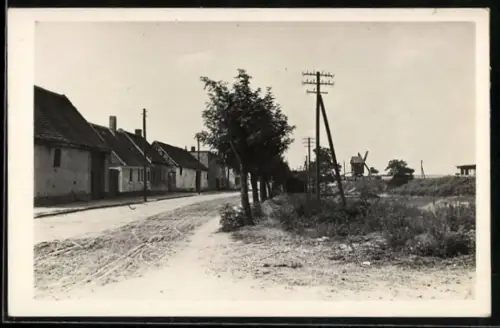 Foto-AK Stumsdorf, Ortspartie mit Wohnhäusern, im Hintergrund Windmühle