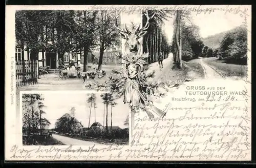 AK Schlangen, Forsthaus Kreutzkrug, Gasthaus mit Garten, Fahrweg durch den Wald