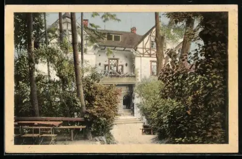 AK Mainz, Gasthof Königsborn mit Garten