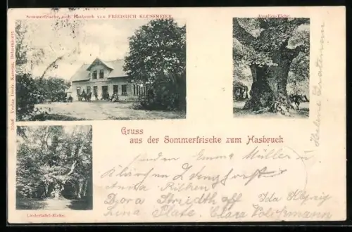 AK Grüppenbühren / Ganderkesee, Gasthaus zum Hasbruch v. Friedrich Klussmeier, Amalien-Eiche, Liedertafel-Eiche