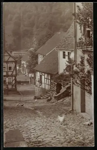 Foto-AK Ortenberg /Hessen, Strassenpartie mit laufendem Huhn