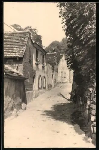 Foto-AK Petersburg /Halle, Grüne Gasse mit Wohnhäusern