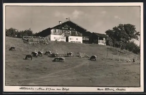 AK Markt Teisendorf, Neubichler-Alm am Högl, Bauernhof mit Weidevieh