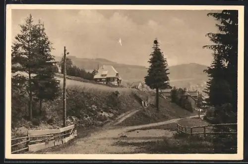 AK Neustadt im Schwarzwald, Pension Haus Sonnhalde, Landschaftsansicht