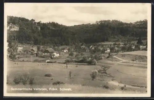 AK Veilbronn /Fränk. Schweiz, Ortsansicht gegen die Anhöhen