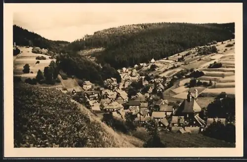 AK Giessübel /Thür. Wald, Blick vom Sommerberg
