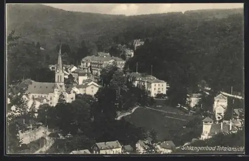 AK Schlangenbad, Totalansicht