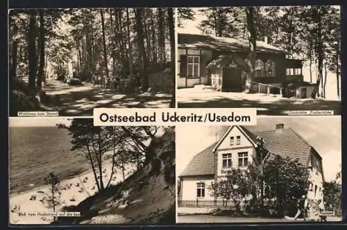 AK Ückeritz /Usedom, Waldweg zum Strand, Gasthaus Fischerhütte, Blick von Hochstrand auf die See