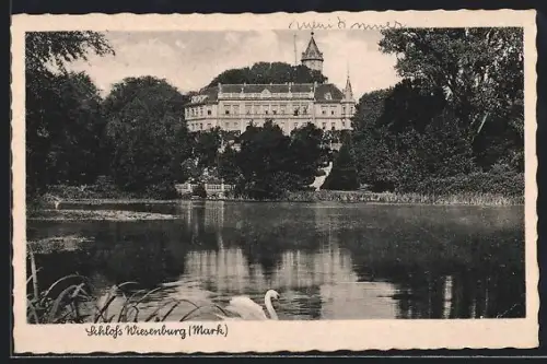 AK Wiesenburg /Mark, Schloss Wiesenburg, Parkteich, Schwäne