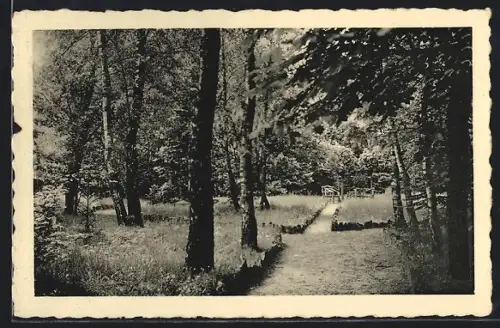 AK Walsrode, Wald-Erholungsheim, Parkpartie