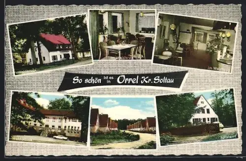 AK Oerrel /Soltau, Gaststätte Waldkrug, Wald-Klinik, Siedlung