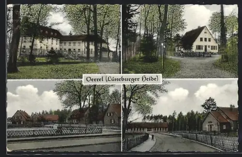 AK Oerrel /Lüneburger Heide, Wald-Klinik, Staatliches Forstamt, Strassenpartie