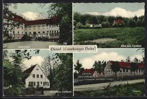 AK Oerrel /Lüneburger Heide, Wald-Klinik, Staatliches Forstamt, Schule