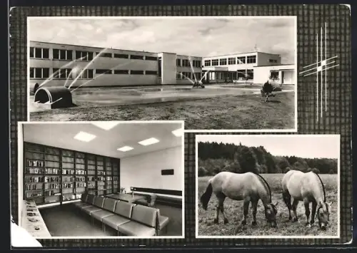 AK Walsrode /Han., Schulungs- und Erholungsheime der Deutschen Postgewerkschaft GmbH, Innenansicht, Zwei Pferde