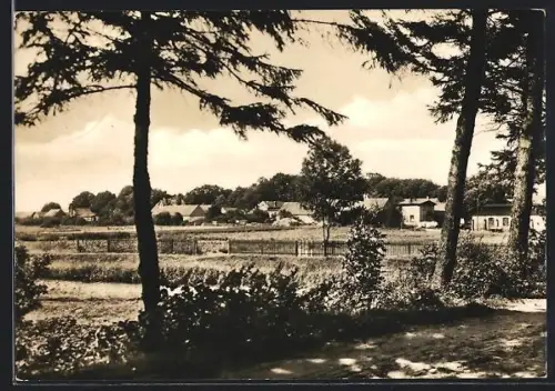 AK Kleinzerlang /Mark, Ortspartie