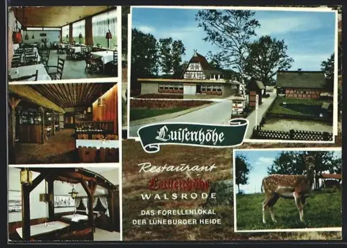 AK Walsrode, Restaurant Luisenhöhe, Innenansichten