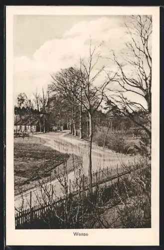 AK Wense, Strassenpartie mit Holzzaun