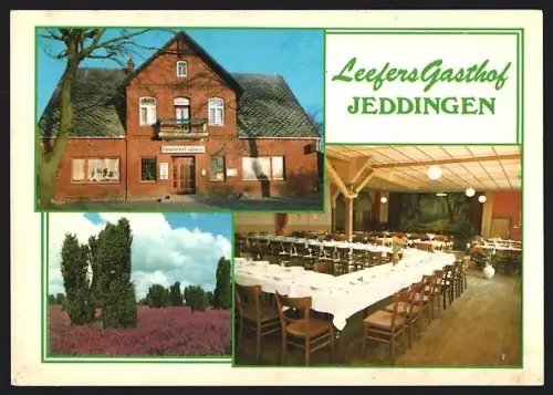 AK Jeddingen, Gasthaus Leefers, Inh. H. Leefers, Saal, Heideansicht