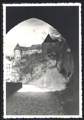 AK Bautzen, Burgansicht mit Tor und Wehrmauer