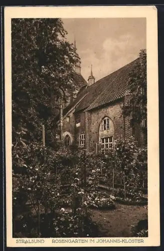 AK Stralsund, Rosengarten im Johannis-Kloster