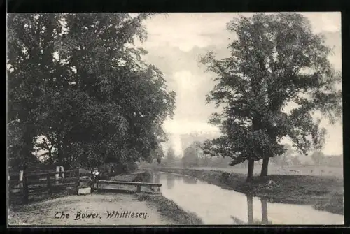AK Whittlesey, The Bower