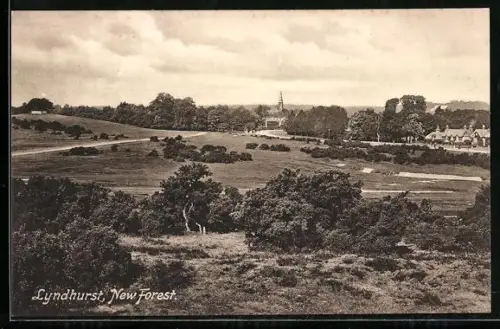 AK Lyndhurst, New Forest