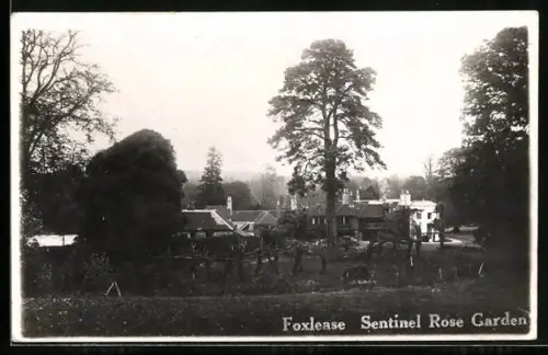 AK Foxlease, Sentinel Rose Garden