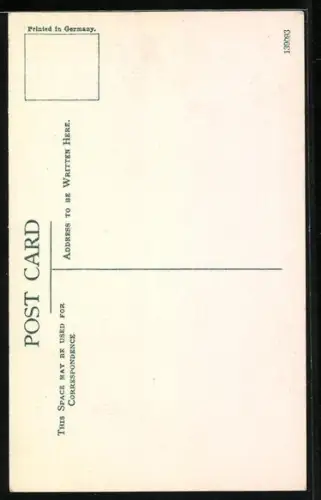 AK Salisbury, Cathedral