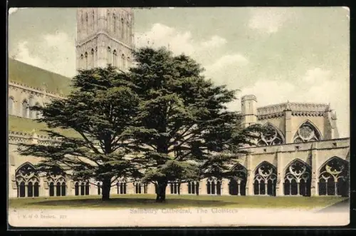 AK Salisbury, The Cloisters