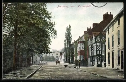 AK Prestbury near Macclesfield, Street View