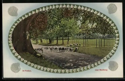 AK Findon near Worthing, Ortspartie mit Schafherde, Muscheln, Passepartout