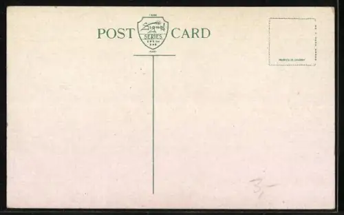 AK Enniscorthy, Wilton Castle