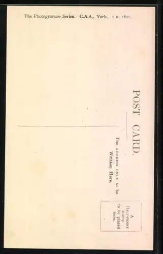 AK York, The Shambles