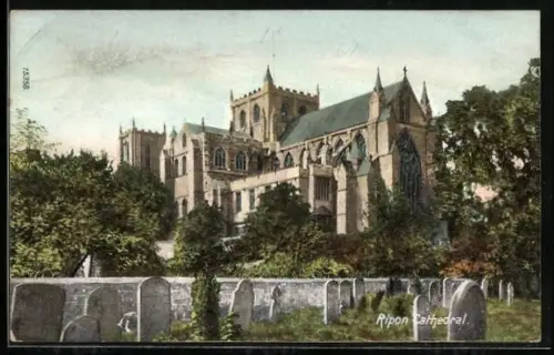 AK Ripon, Cathedral