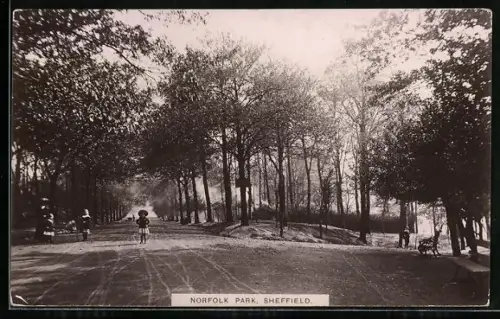 AK Sheffield, Norfolk Park