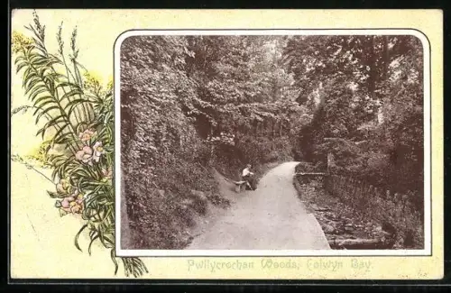 AK Colwyn Bay, Pwllycrochan Woods