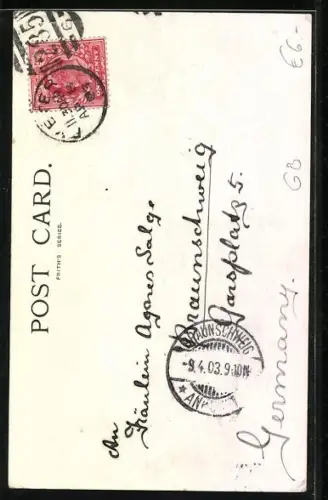 AK Paignton, The Harbour