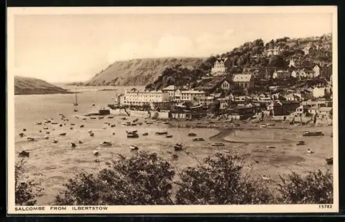 AK Salcombe, View from Ilbertstow