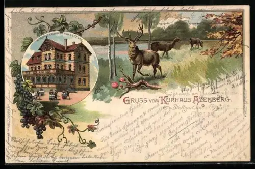 AK Stuttgart, Kurhaus Azenberg