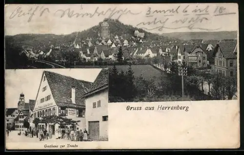 AK Herrenberg, Gasthaus zur Traube, Teilansicht